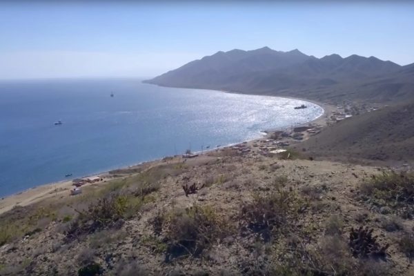 Isla Magdalena shore