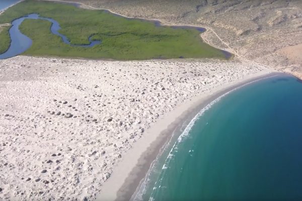 isla magdalena
